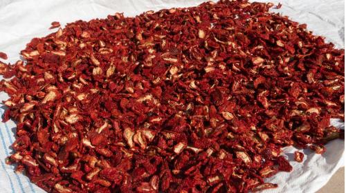 GÜNEŞTE KURUTULMUŞ TUZLU DOMATES HALVE KESİM
