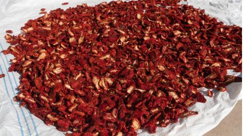 GÜNEŞTE KURUTULMUŞ TUZLU DOMATES HALVE KESİM